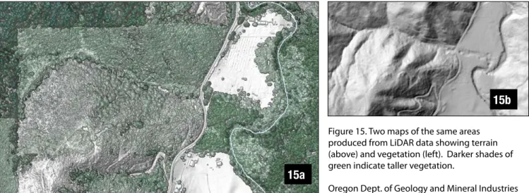 Figure 15. Two maps of the same areas  produced from LiDAR data showing terrain  (above) and vegetation (left)
