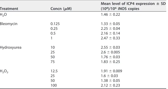 TABLE 1 Effect of DNA damage inducers on MDV replication in CESCs
