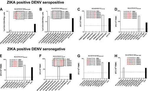 FIG 5 Mapping of CD8 ZIKV epitopes in ZIKV-positive donors. ZIKV-restricted epitopes mapped by peptide deconvolution in ELISPOT ex vivo experiments inDENV-positive (A to D) or DENV-negative (E to H) individuals