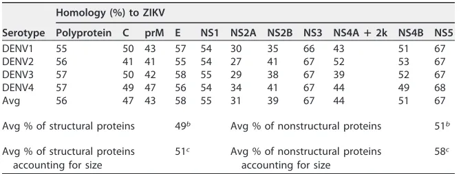 TABLE 5 Sequence homology between ZIKV and DENVa
