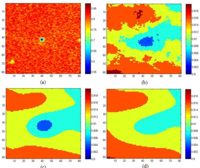 Figure 6- 4 The 2D grey level surface plots of Figure 6- 3 with the colour representing the grey  level  intensities:  (a)  the  grey  value  plot  of  the  black  square  marked  region  in  the  initial  background image (Figure 6- 3 (a)); (b) the grey v