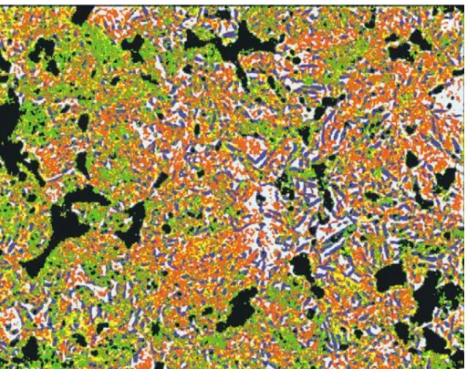Figure 4- 4 The same structure as in Figure 4- 3 after automatic recognition with phases marked  with colours: lower bainite (dark blue), upper bainite (red), phosphorus-rich ferrite (green), fine  pearlite (yellow), martensite (light blue), pores (black) 