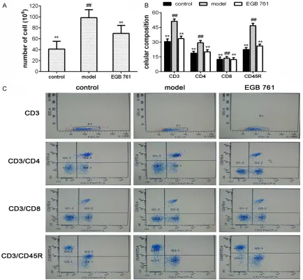 Figure 3. The changes of cellular composition in spleen. A: The total numbers of mononuclear cells from Spleen