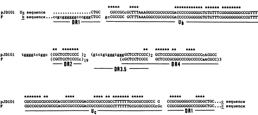 FIG. 2.sequencessequences Alignment and nucleotide sequence of the standard and defective HSV-1 (Justin) DNA in the region of the Us-a junction