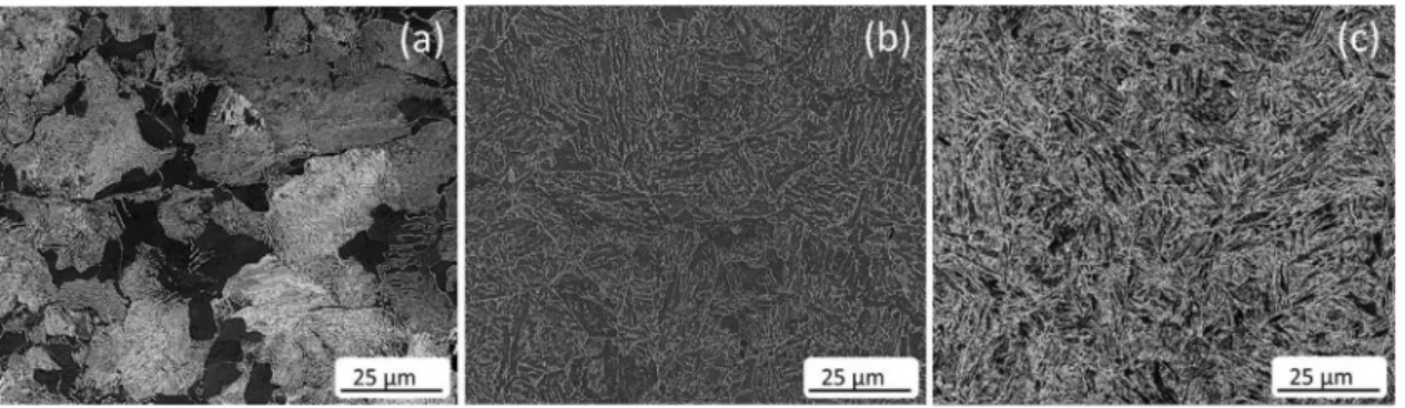 Fig. 1. Initial (a) ferrite-pearlite, (b) bainite and (c) tempered martensite microstructures of the investigated steel as observed by SEM (standard metallography preparation and 2% Nital etching).