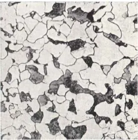 Figure  2‐10:  Optical  micrograph  (x500)  of  a  British  Standard  3100  normalized  medium  carbon  steel  etched  in  3 %  Nital,  showing  coarse  polygonal  ferrite  (white  phase) and pearlite (dark phase) [72]. 