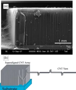 Figure 2.3 (a) SEM image of 2.1-mm-long VACNTs wafer (31) & (b) Schematic picture of the mechanism for drawing CNT from vertically aligned arrays (30)