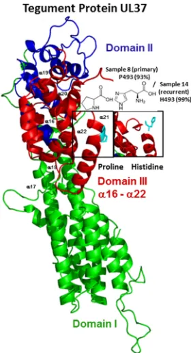 FIG 4 Features of the amino acid variants resulting from nonsynonymous changes in the primary orrepresented in different colors