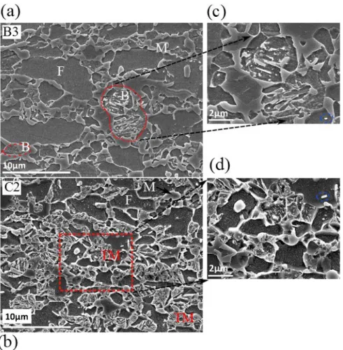 Figure 5.1.20 SEM microstructures of DP_V with full processing GA (B3) (a) and C2 (b), (c) is the microstructure  with higher magnification of the area enclosed by dashed red circle in (a), (d) is the enlarged microstructures of the 
