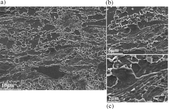 Figure 5.1.21 SEM microstructures of DP_VN with full processing GA (B2), (b) and (c) are the magnified  microstructures of (a) at the central region 