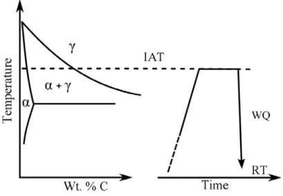 Figure 2.1.3 Schematic representation of intercritical annealing and water quenching (WQ) for developing dual  phase structure, IAT means intercritical annealing temperature 