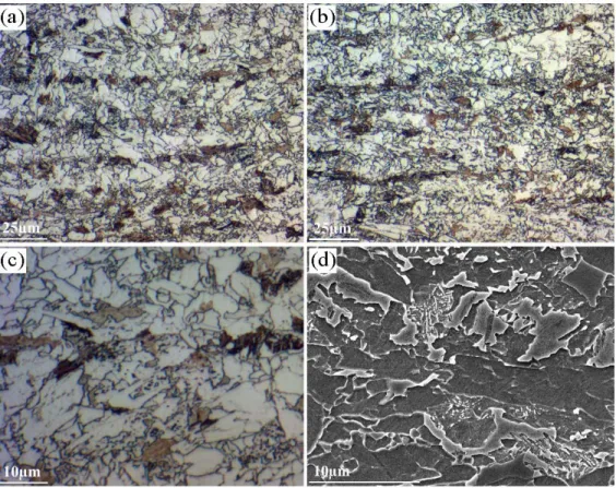 Figure 5.1.3. 2% Nital etched microstructures of hot rolled samples (a) DP_V, (b) DP_Nb, (c) DP_V higher  magnification, and (d) DP_V SEM microstructure