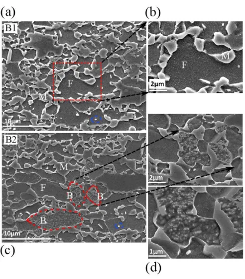 Figure 5.1.19 SEM microstructures of DP_V with full processing B1 (a) and B2 (c), (b) is the microstructure with  higher magnification of the area enclosed with dashed red square in (a), (d) are the enlarged microstructures of the 