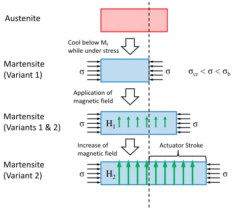 Figure 2.12: Schematic of the magnetic shape memory eﬀect