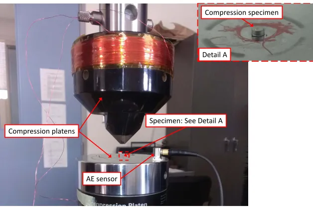 Figure 4.6: Test conﬁguration for the compression testing of Co-Ni-Al specimens