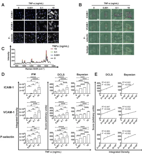Figure 2. Quantification of adhesion molecule expression by SERS-BFNP molecular imaging using DCLS and Bayesian methodologies