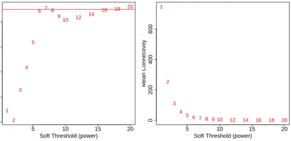 Figure 1: Analysis of network topology for various soft-thresholding powers. The left panel shows the scale-free fit index (y-axis) as a function of the soft-thresholding power (x-axis)