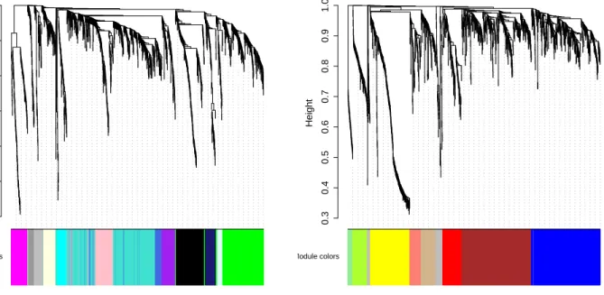Figure 2: Clustering dendrograms of genes, with dissimilarity based on topological overlap, together with assigned module colors