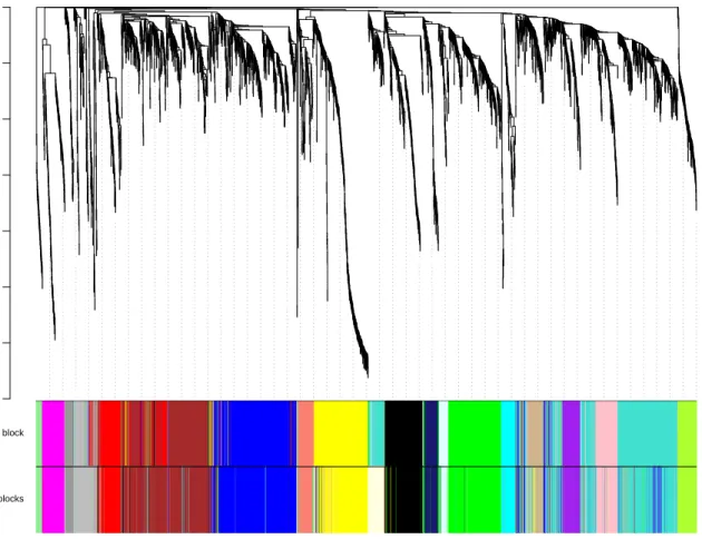 Figure 3: Clustering dendrogram of genes obtained in the single-block analysis in Section 2.a, together with module colors determined in the single-block analysis and the module colors determined in the block-wise analysis