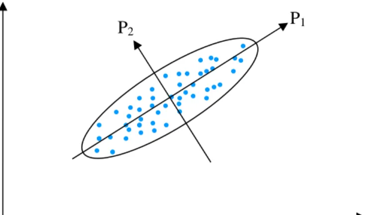 Figure 5: Each data point in this diagram has two coordinates. However, this data  set is essentially one dimensional because most of the variance is along the first 