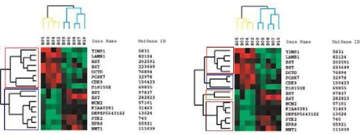 Figure 10: Two identical complete hierarchical trees. The Hierarchical tree  structure can be cut off at different levels to obtain different number of clusters