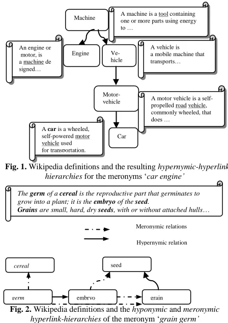 Fig. 2.  Wikipedia definitions and the hyponymic and meronymic hyperlink-hierarchies of the meronym „grain germ’ 