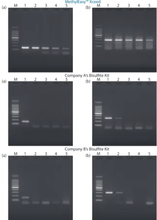 Figure 6. A Comparison between This Kit and Other Manufacturers’ Kits  (Minimum Quantity of Genomic DNA Required).