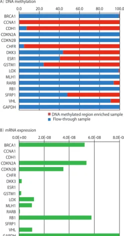Figure 9.  Quantitative Determination of Methylation in a Specific Genomic  Region and Gene Expression Analyses by Real-Time PCR.