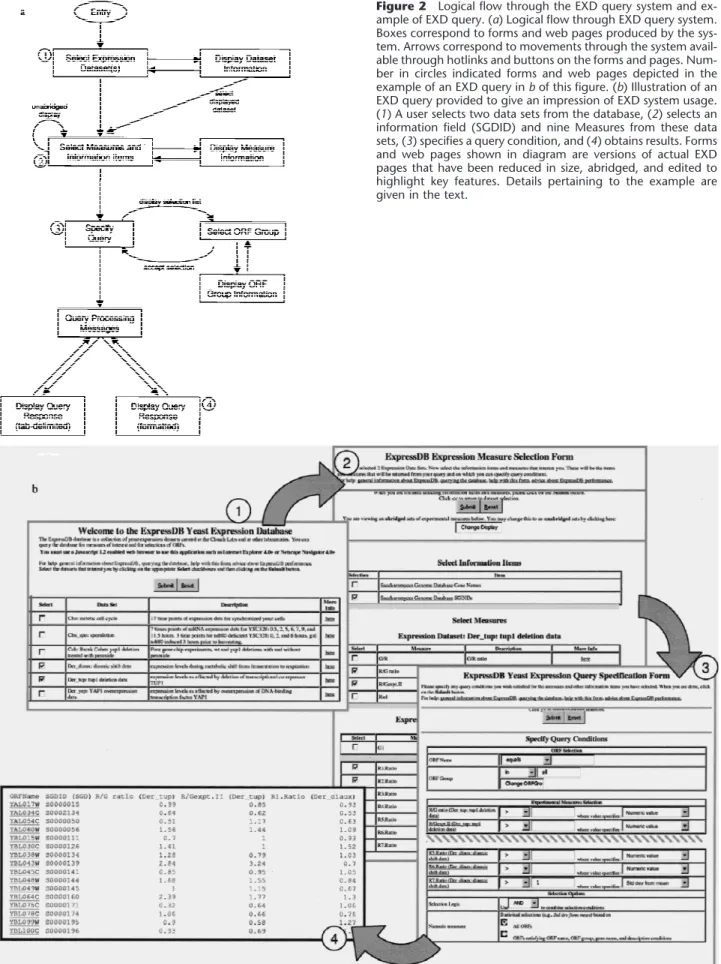 Figure 2 Logical flow through the EXD query system and ex- ex-ample of EXD query. (a) Logical flow through EXD query system.