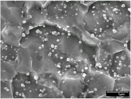 Figure 4.42a and Figure 4.42b are TEM bright-field images of the microstructure of the  FM  sample  processed  up  to  1  turn  at  the  centre  and  edge,  respectively