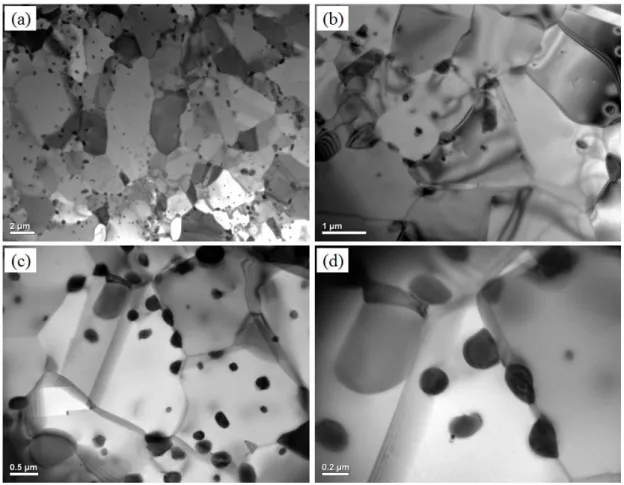 Figure 3.10: TEM micrographs for the steel sample microstructure annealed at 750  o C for 60  mins