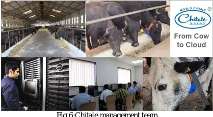 Fig 5: From cow to cloud  