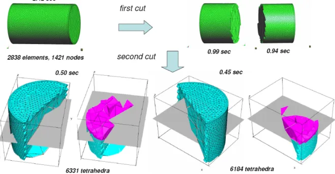 Figure 11:Volume mesh generation in each subdomain. Cutting of volume mesh (shown in pink) 