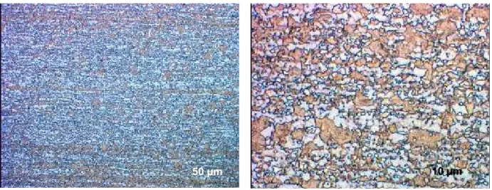 Fig. 2: Microstructure of HCT800C (Le Pera etching) 