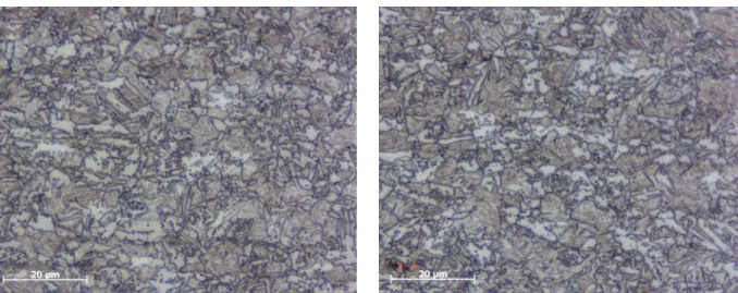 Fig. 6: Microstructure of the DP980 material. Etched with Le Pera 20 seconds 