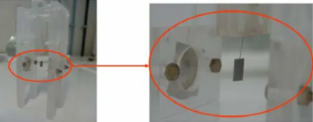 Fig. 22: Detail of the sample between the two platinum disks 