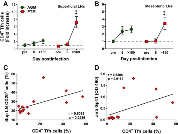 FIG 9 Changes in the levels of follicular helper CD4of total B cells and that of CD4Signiﬁcant differences between pathogenic and nonpathogenic species at same time point are indicatedas follows: #,frequencies of B cells and anti-gp-41 antibodies versus th