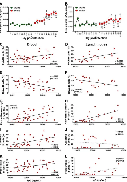 FIG 10 Assessment of the relationship between B cell dysfunction and overall humoral immune response over the course of progressiveSIVsab infection of AGMs and nonprogressive SIVsab infection of PTMs