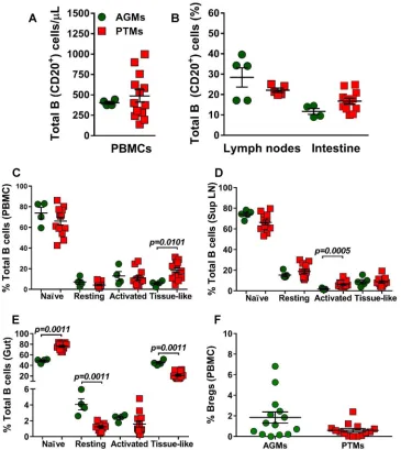 FIG 2 Total B cells and B cell subsets in peripheral blood, lymph nodes, and intestine in uninfected African greenmonkeys (AGMs) and pig-tailed macaques (PTMs)