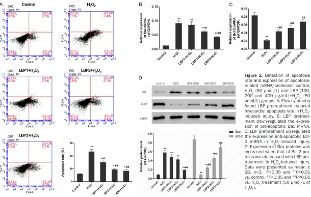 Figure 2. Detection of apoptosis rate and expression of apoptosis-