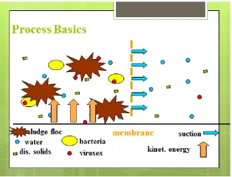 Fig 2.3 Diagrammatic explanation of the process of a membrane. 