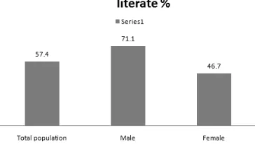 Figure 3 Ethnic groups in percentage 