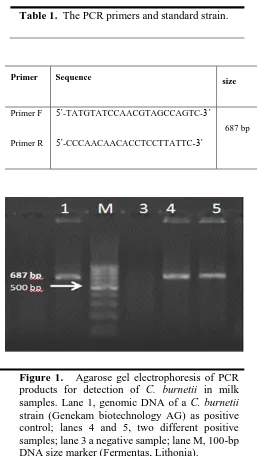 Figure 1.   Agarose gel electrophoresis of PCR products for detection of C. burnetii in milk samples