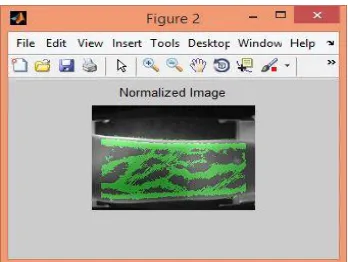 Figure 3: The output of acquired finger image                      Figure 4: The output of Image Normalization 