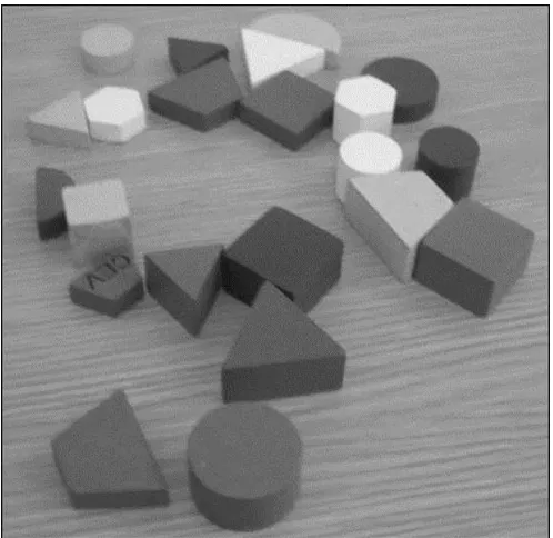 Figure 1. The twenty-two blocks that form the VBT. Each block can be grouped 