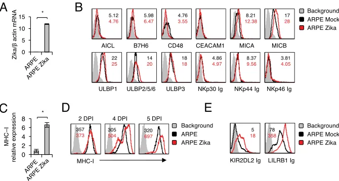 FIG 1 Characterization of NK ligand expression in ARPE cells following Zika virus infection