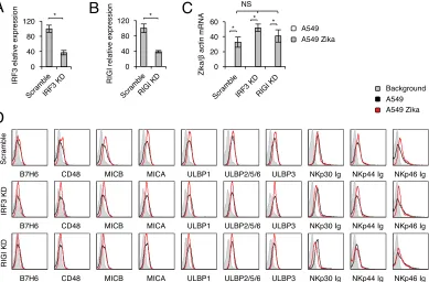 FIG 4 Characterization of interactions of Zika virus-infected cells with NK cells. (A and C) NK cells wereassessed under the same conditions as those described for panels A and C using standard ELISA