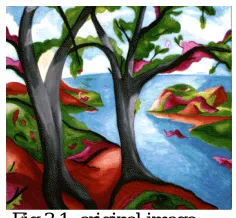 Fig 3.1 shows original image which is the MATLAB demo image ‘trees’. This is input for dictionary training