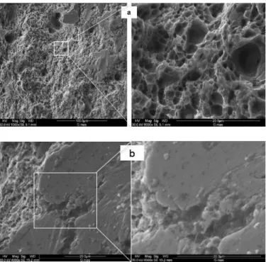 Figure  12  shows  SEM  micrograph  of  the  fracture  surface  on  welding joint of the specimens with treatment 8