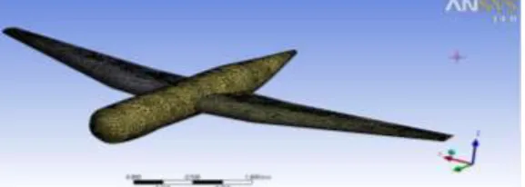 Fig. 1:  Geometric Model of the plane 